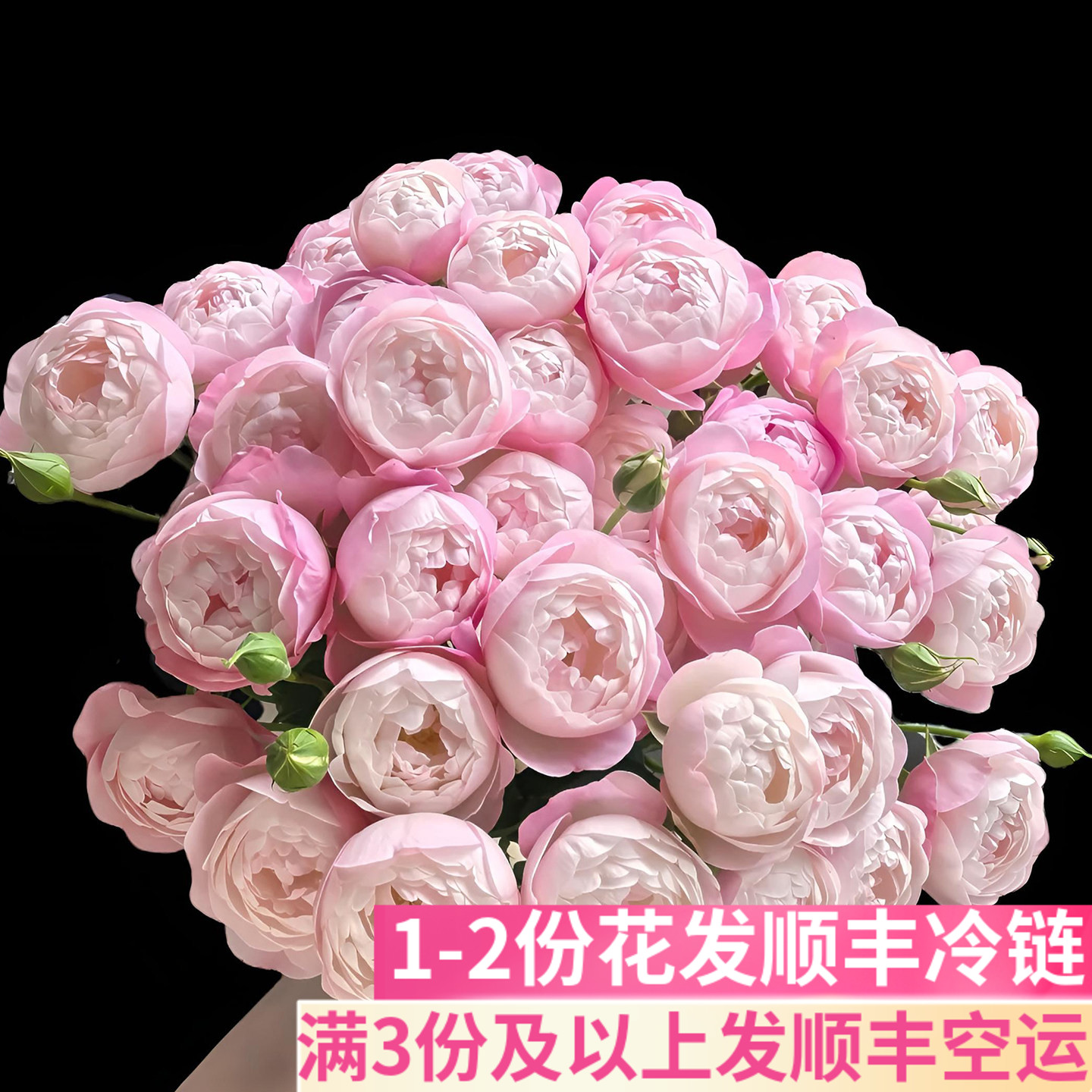 草莓杏仁饼多头玫瑰泡泡客厅插花