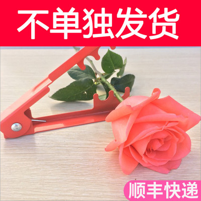 鲜花打刺器鲜花基地直发
