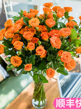 橙色芭比多头玫瑰泡泡斗南鲜花基地直发昆明花卉市场批切发橙芭比