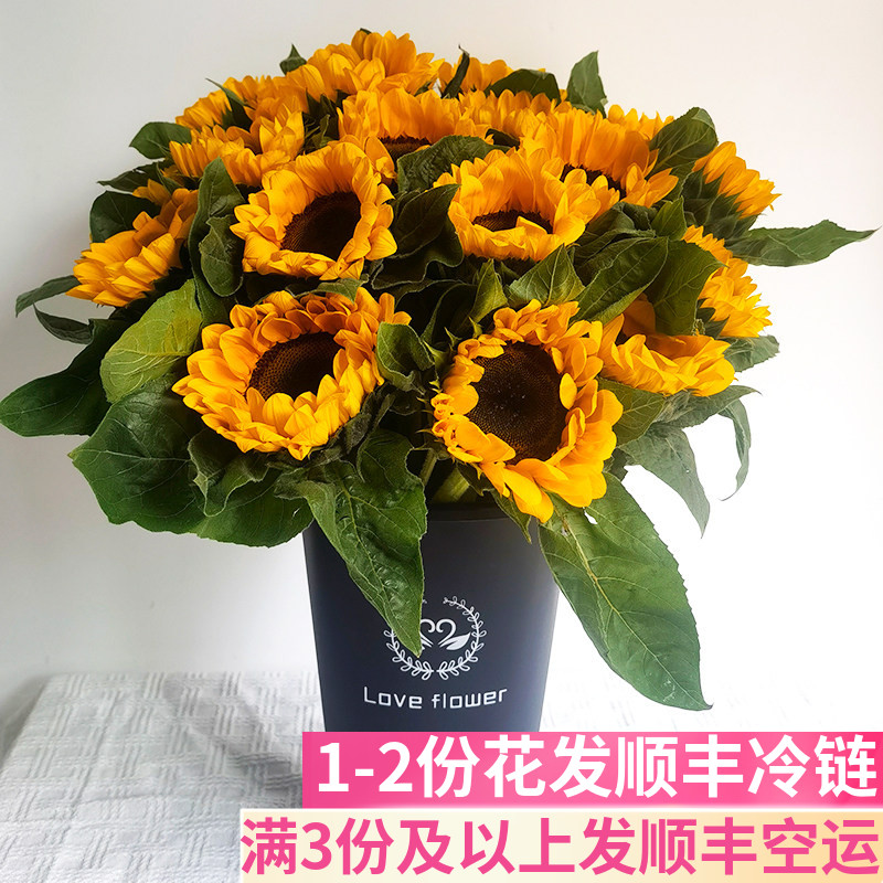 向日葵鲜花阳光客厅阳台插花