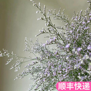 情人草配草新鲜花店家居斗南鲜花基地直发花卉市场批切花发真水养