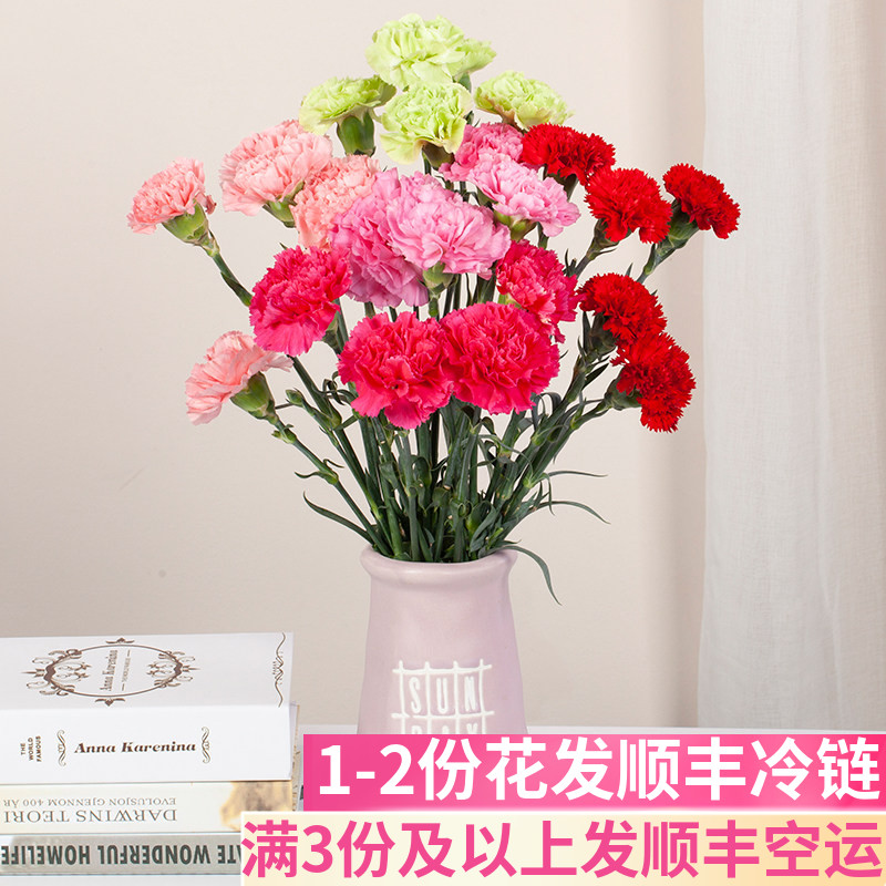 康乃馨鲜切花鲜花基地直发