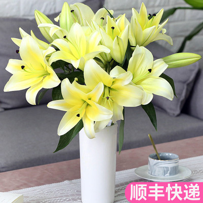 百合花家用黄天霸新鲜室内