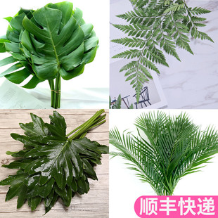 配叶配草鲜花基地直发插花市场斗南花市端午节水养散尾花束花卉