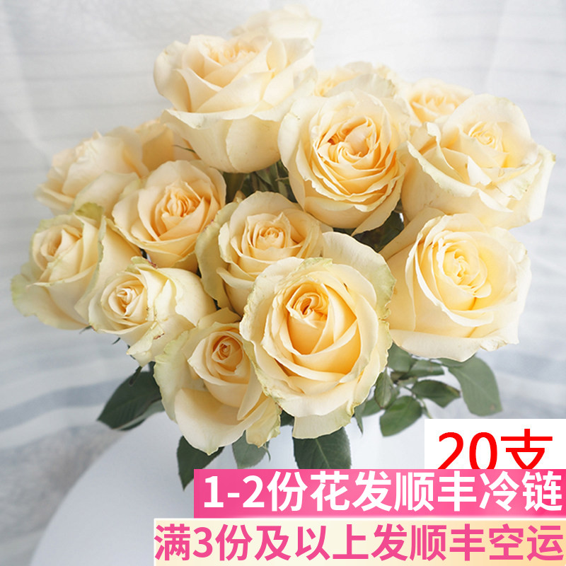级香槟玫瑰鲜花直批真花一扎云南