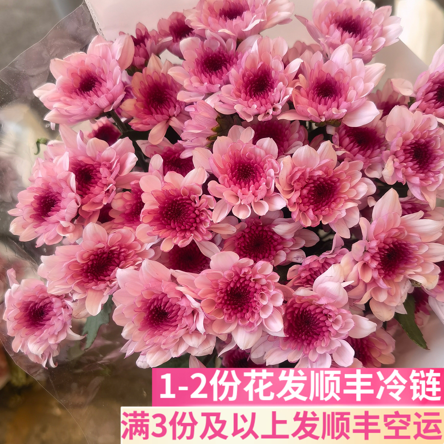 丹心小雏菊家用插花商务小粉心