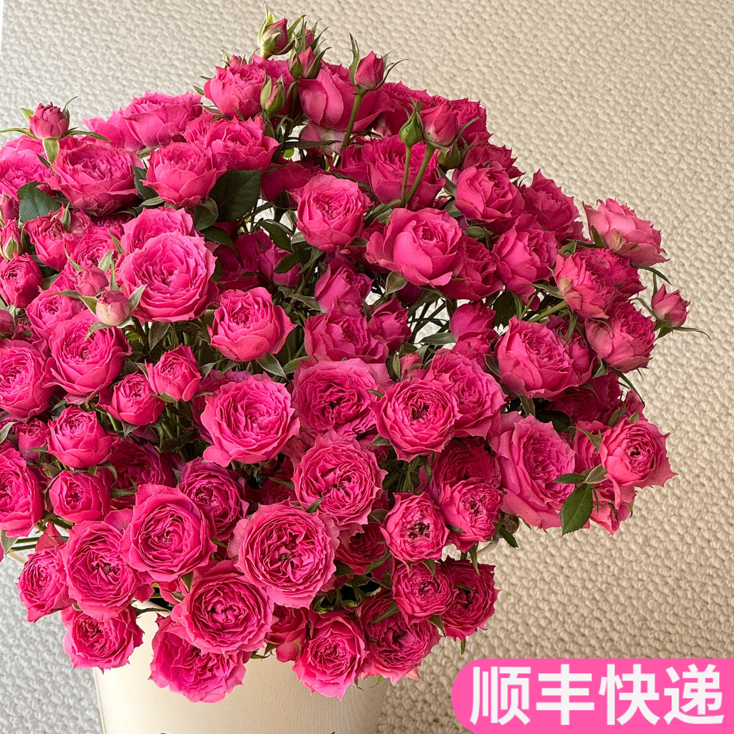 苏菲宝贝鲜花多头玫瑰泡泡插花家用客厅斗南基地直发鲜切小玫瑰花
