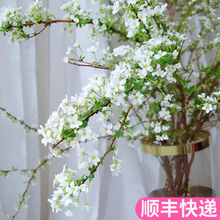 雪柳鲜花鲜枝水养喷雪斗南基地直发花卉市场批鲜切花发真花雪柳花