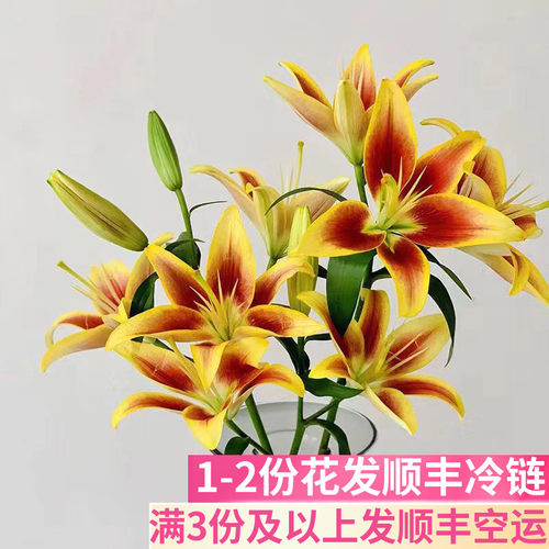 皇冠亚百合云南基地直发