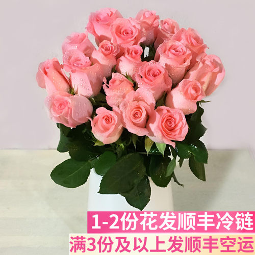 粉色戴安娜玫瑰花婚庆婚礼适用