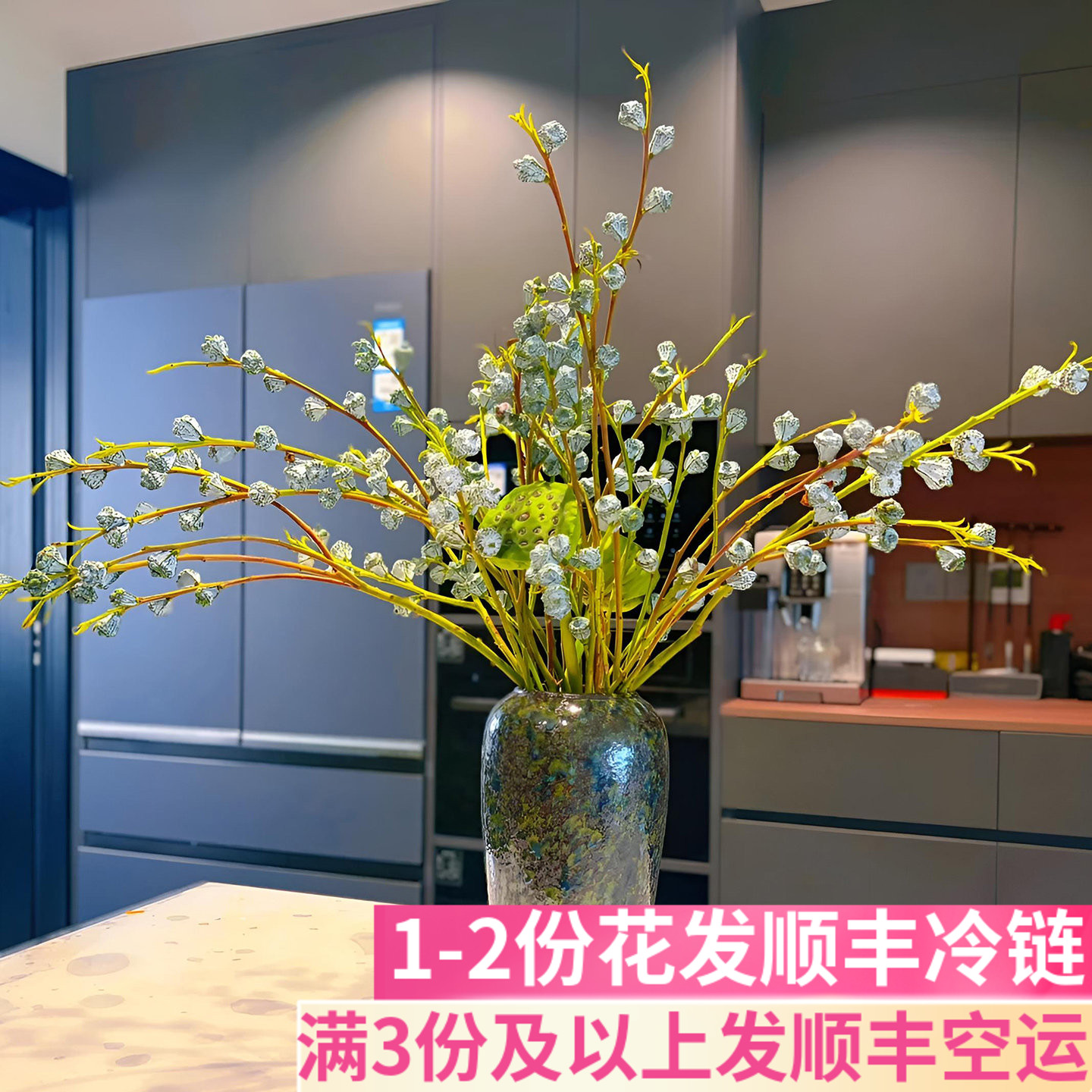 尤加利果超长花期真花真果
