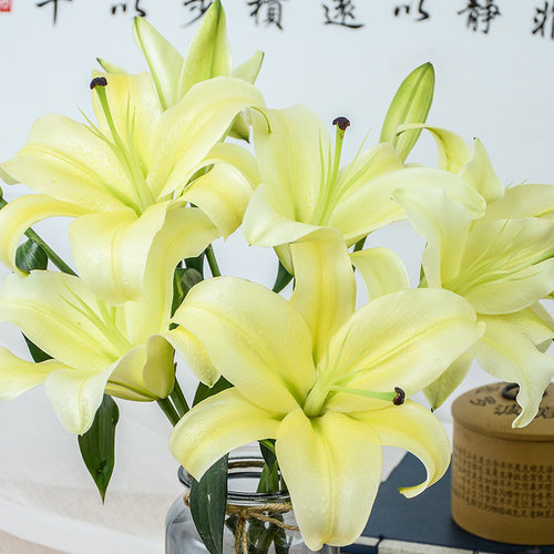 黄百合花质量怎么样 黄百合花口碑怎么样 小麦优选