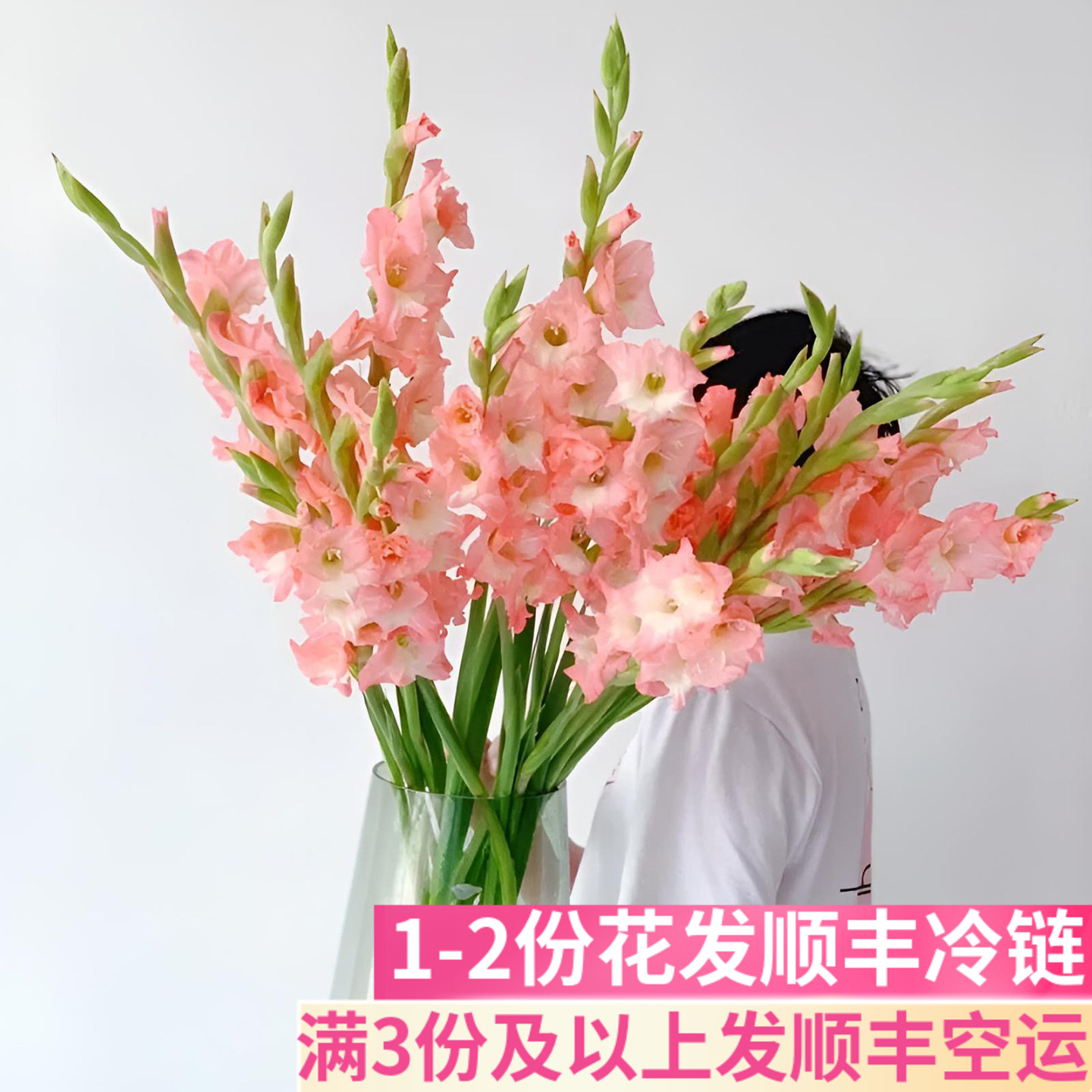剑兰鲜花鲜切花基地直发