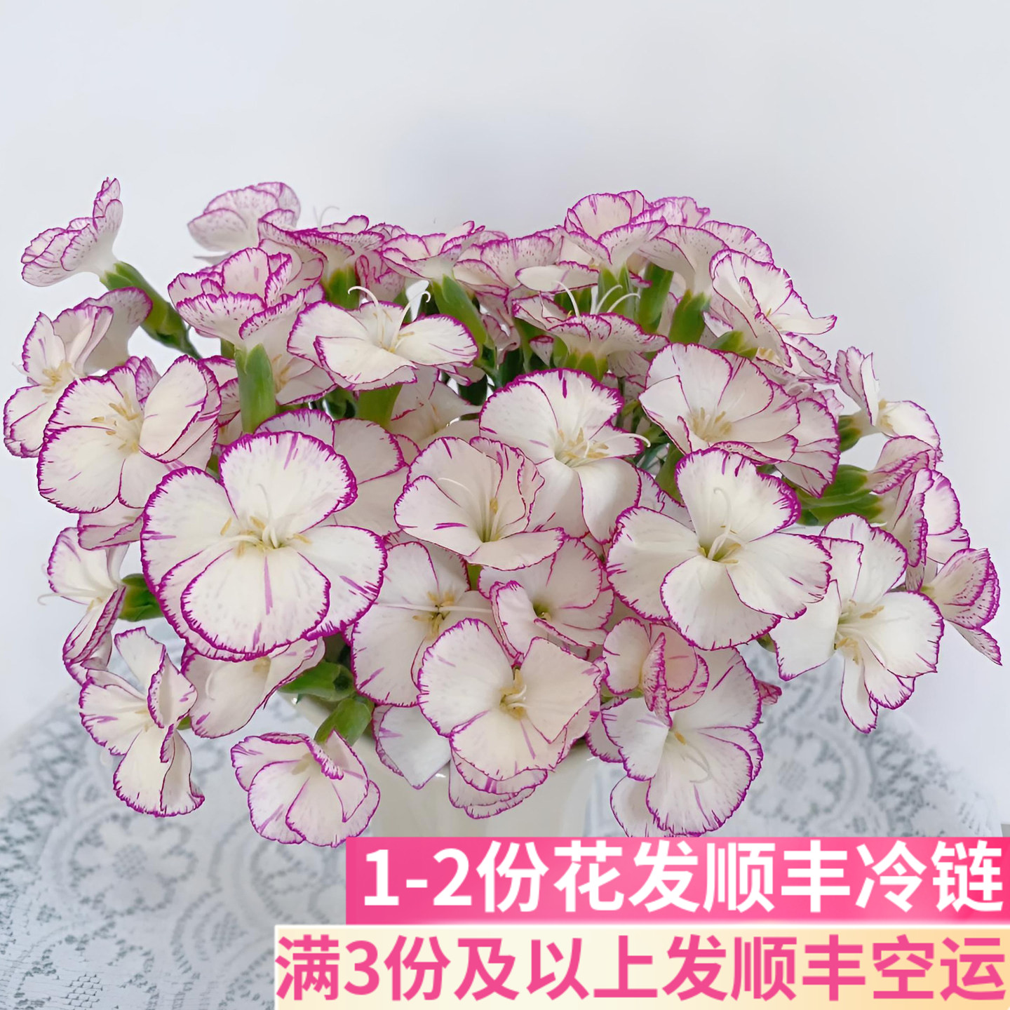 缇娜多头康乃馨多丁鲜花
