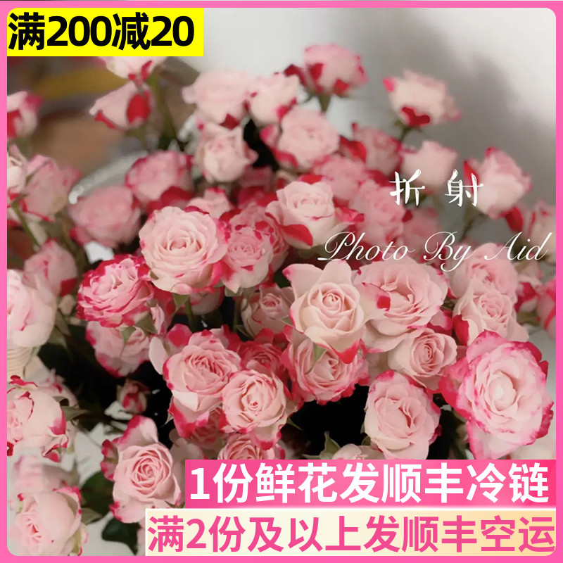折射多头玫瑰泡泡云南基地直发