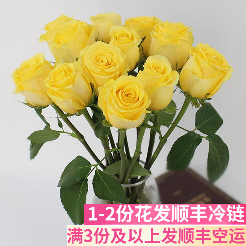 a级黄玫瑰花卉市场斗南