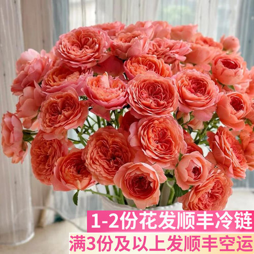 杏色果汁多头玫瑰鲜花泡泡
