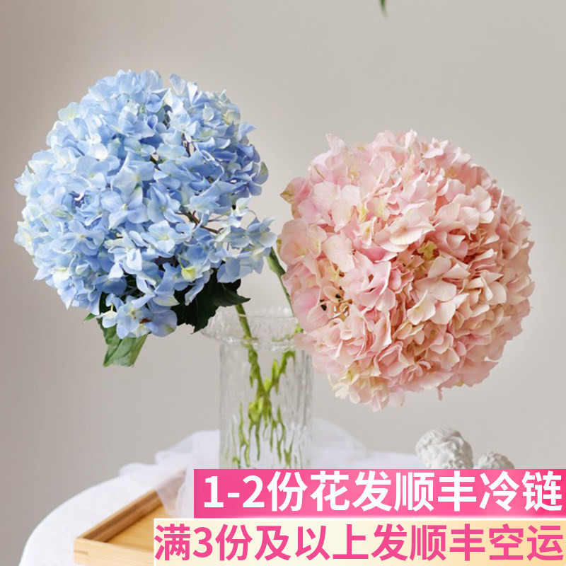 绣球客厅鲜花婚礼搭配用花