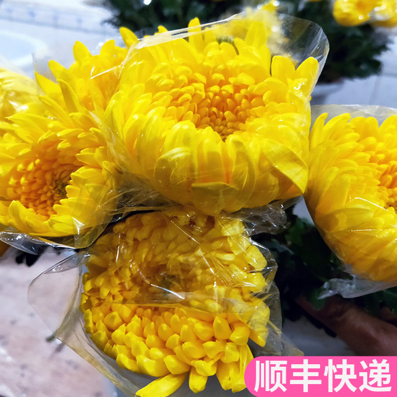 鲜菊花直批云南基地发昆明斗南