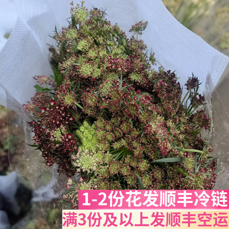 咖啡色蕾丝配花鲜花基地直发