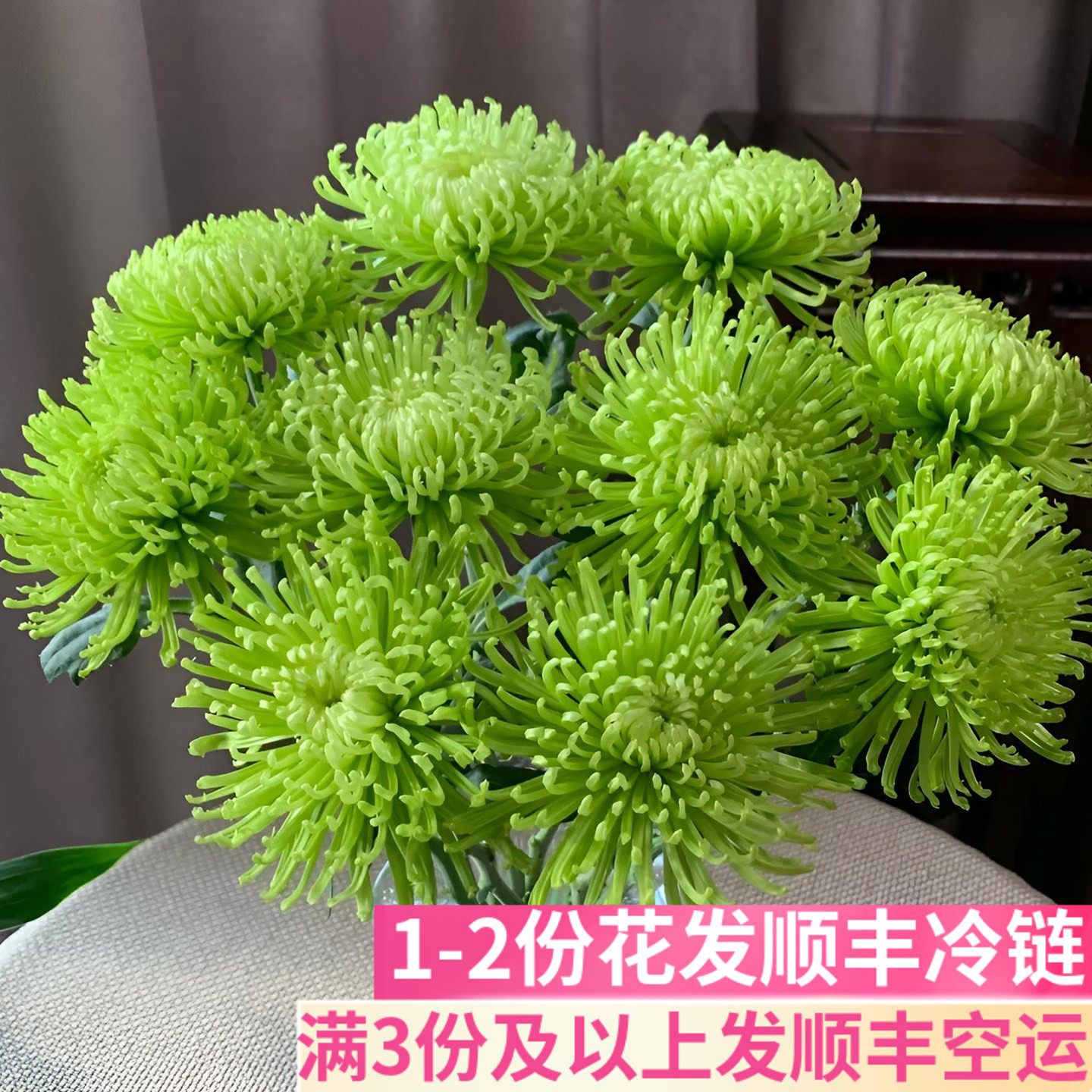 清新绿安娜菊绿色菊花花艺插花