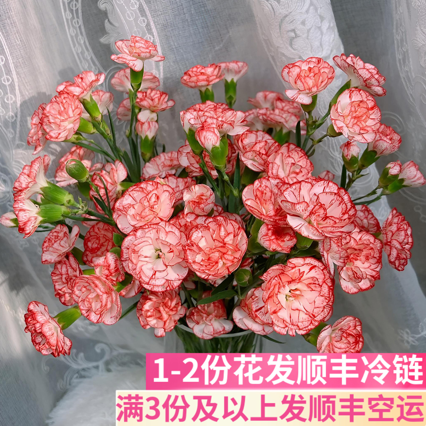 风铃多头康乃馨多丁鲜花家用插花