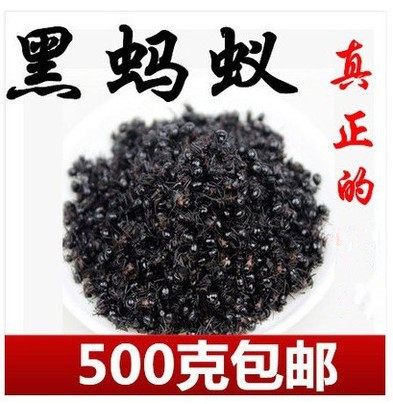 云南中药材黑多刺蚂 黑蚂蚁干黑蚂蚁粉 泡酒料 500克包邮