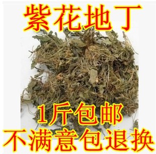 中药材紫花地丁草苦地丁草铧头草光瓣堇菜犁头草500g批包邮发