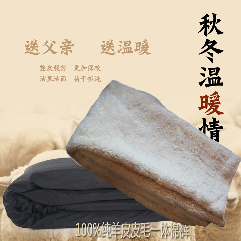 Pantalon cuir homme droit pour hiver - Ref 1479734 Image 5