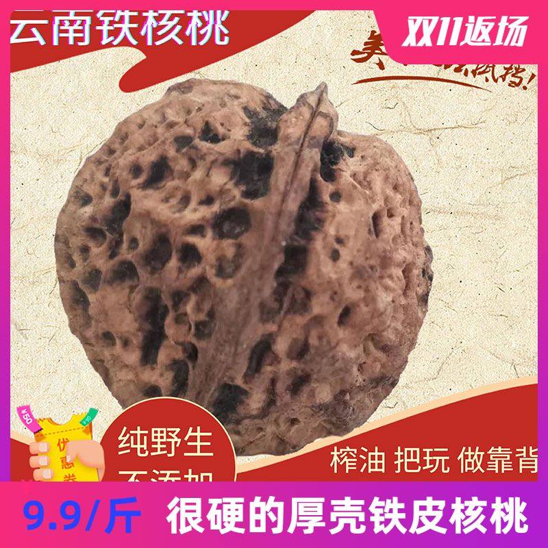 云南文玩野生铁核桃超厚壳山核桃食用把玩铁皮2棱硬壳做靠背榨油