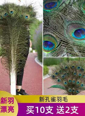 纯天然孔雀羽毛装饰品