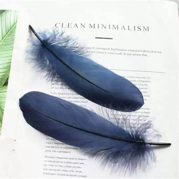 15-20厘米硬飘羽毛diy材料饰品大飘羽毛鹅毛帽子服装配件彩色羽毛,家居饰品,花瓶,淘宝优惠券,粉丝福利购,淘宝优惠卷