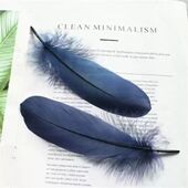 配件彩色羽毛 20厘米硬飘羽毛diy材料饰品大飘羽毛鹅毛帽子服装