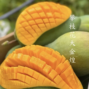 攀枝花金煌芒10斤带箱树上熟青芒无丝纯甜大芒果孕妇应季新鲜水果