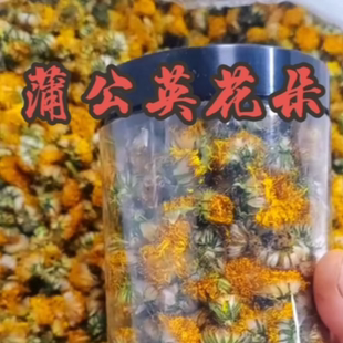 野生蒲公英花朵干花茶婆婆丁茶清热黄花地丁野生黄花苗2025年新货