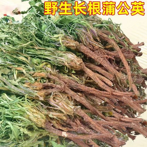 蒲公英干货新货婆婆丁