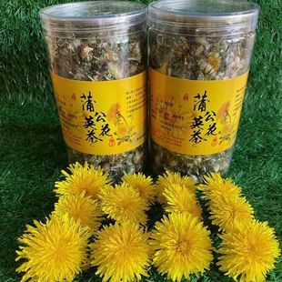野生蒲公英花朵干花茶婆婆丁茶清热黄花地丁野生黄花苗2025年新货