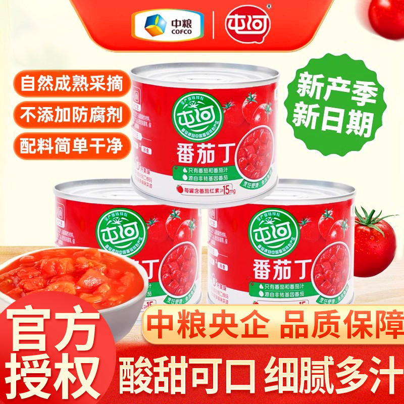 中粮屯河番茄丁200g罐装
