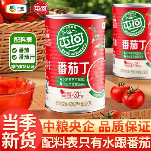新疆番茄丁390g罐头番茄酱