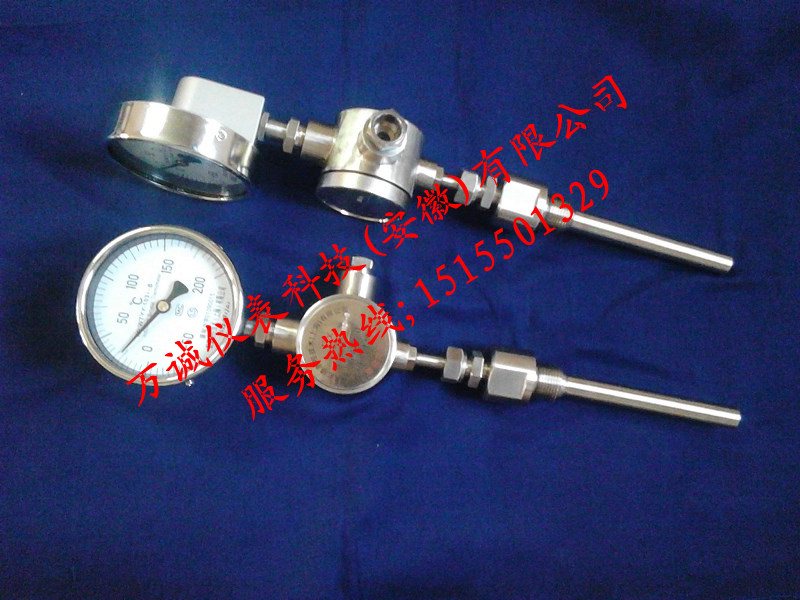 WSSP-481B远传防爆热电阻双金属温度计WSSP-484B