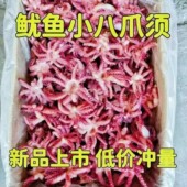 小鱿鱼须新鲜冷冻鱿鱼头小八爪须小号净重无冰衣烧烤餐饮食材