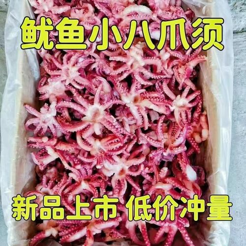 小鱿鱼须三去鱿鱼头八爪须无冰衣
