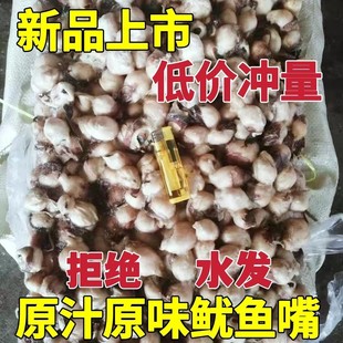 鱿鱼嘴墨鱼嘴目鱼嘴章鱼乌贼嘴巴新鲜冷冻大个头商用穿串卤制爆炒