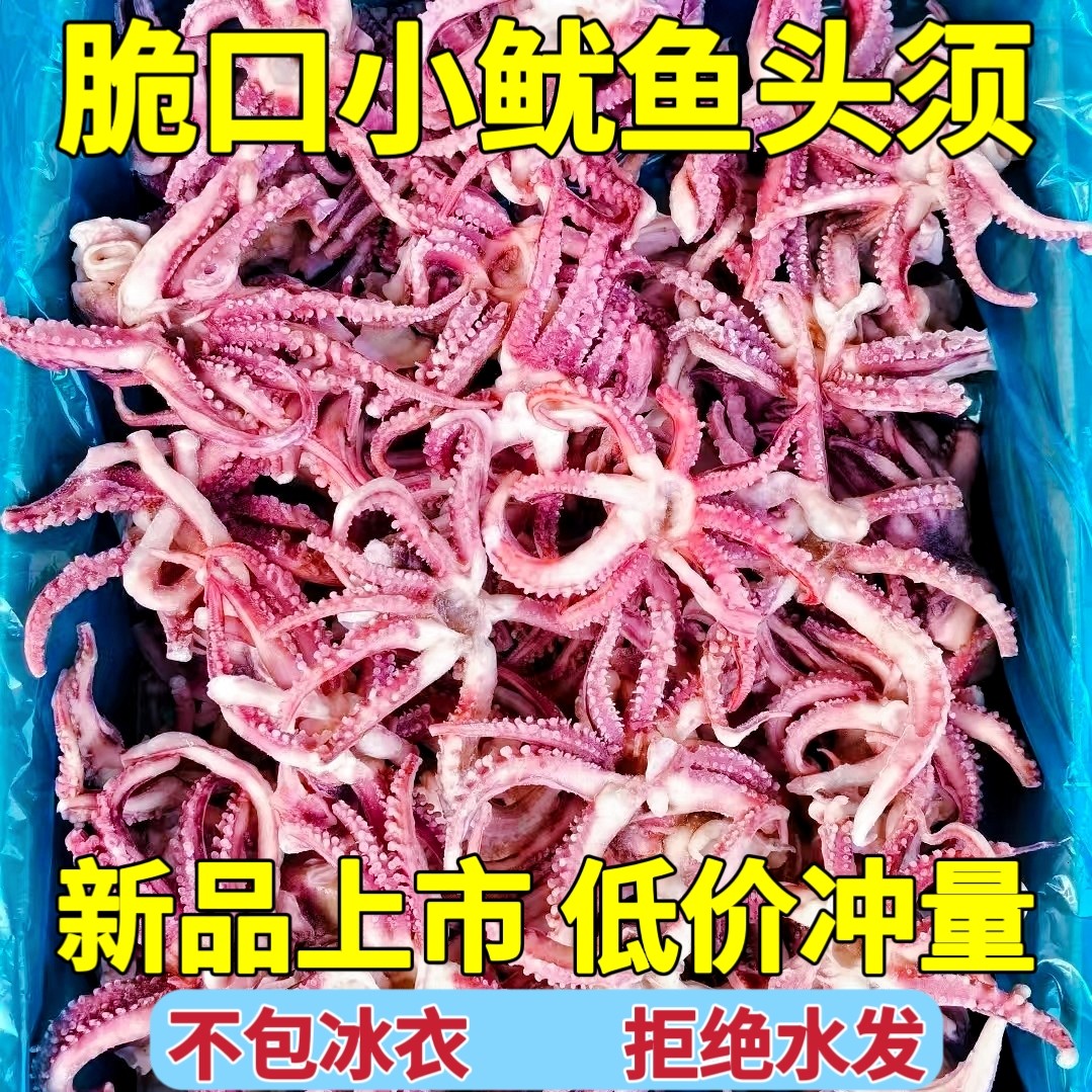 小鱿鱼须新鲜冷冻脆口鱿鱼头小八爪须净重无冰衣烧烤炒菜火锅食材