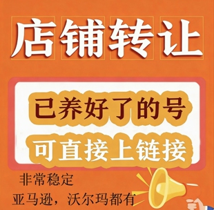 亚马逊北美站店铺转让购买沃尔玛申诉店铺欧洲出售代入驻定制精品