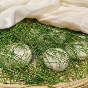 宣余味云南宣威豆馅糍粑纯糯米手工特产红豆粑糯米粑粑凤尾苏子