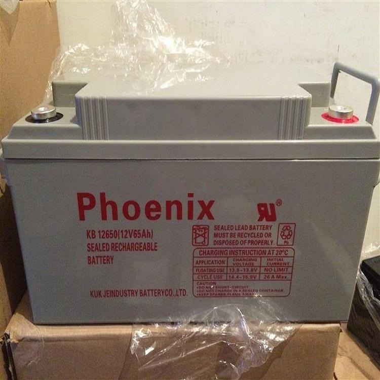 Phoenix蓄电池6GFM200凤凰蓄电池12V200AH消防电力计算机专用包邮