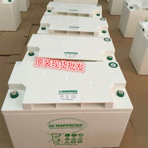 德国荷贝克松树胶体蓄电池12V63AH UPS/EPS蓄电池 SB12V60包邮