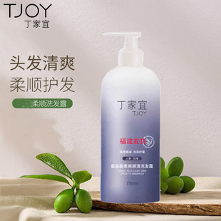 丁家宜氨基酸柔亮顺滑洗发露留香柔顺洗发水改善干枯毛躁头发护理