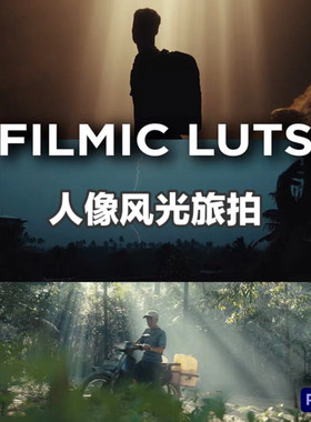 达芬奇调色PowerGrade + LUT人像风光旅拍电影感Filmic LUTS